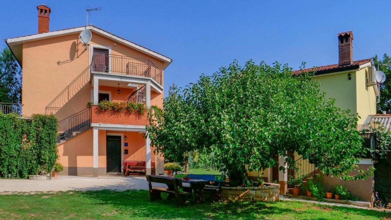 Studio Apartment Gianni Vižinada Kültér fotó