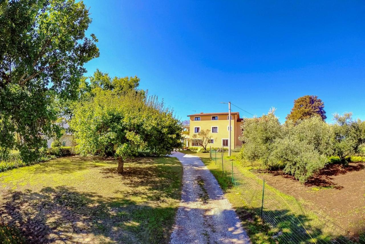 Studio Apartment Gianni Vižinada Kültér fotó